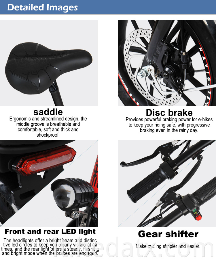 Electric Folding Bike